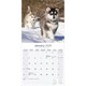 image 3 of Alaskan Malamute 2026 Calendar | Square Wall Calendar | Dog Breed Gift | Plastic Free Packaging | by Avonside Publishing