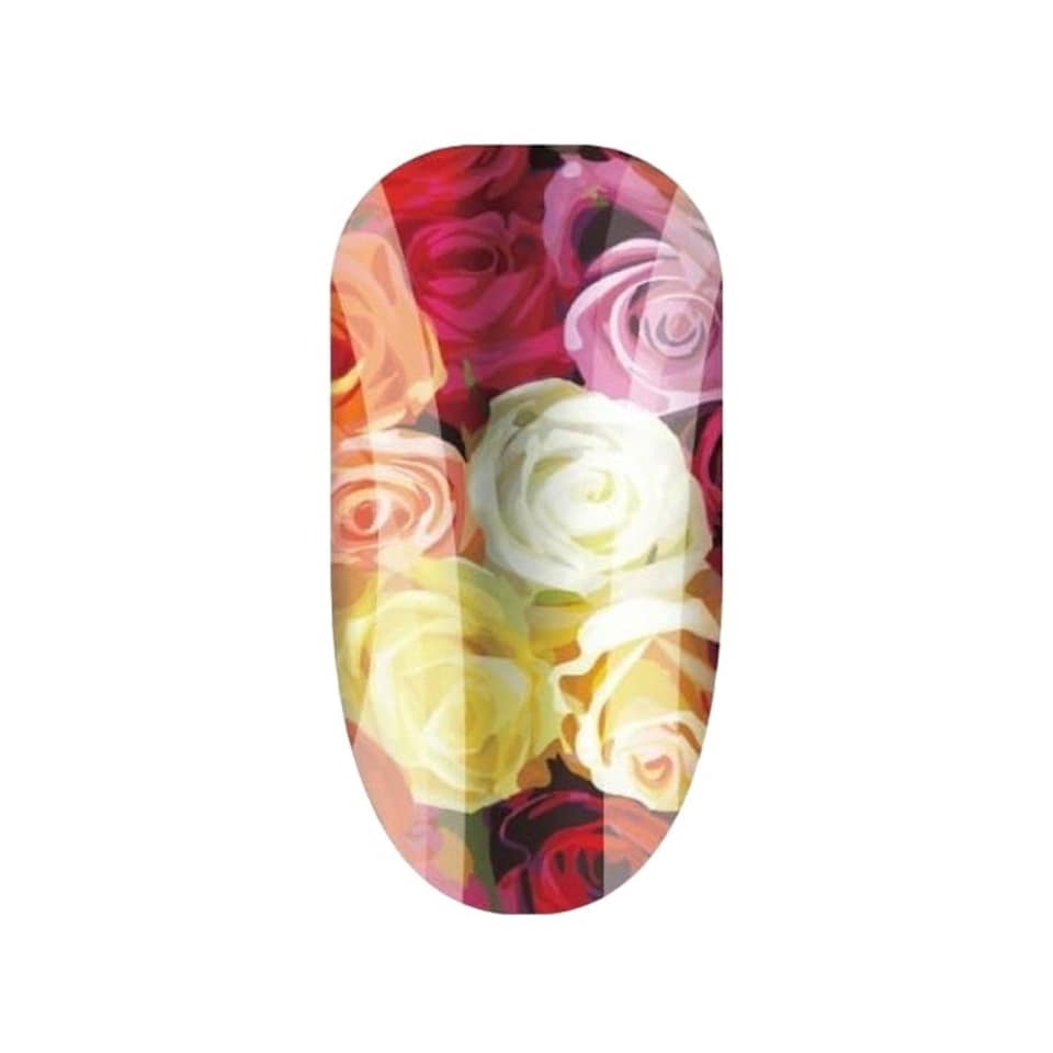 Bunches Of Love Roses Nail Wraps - Multicoloured - One Size Multi