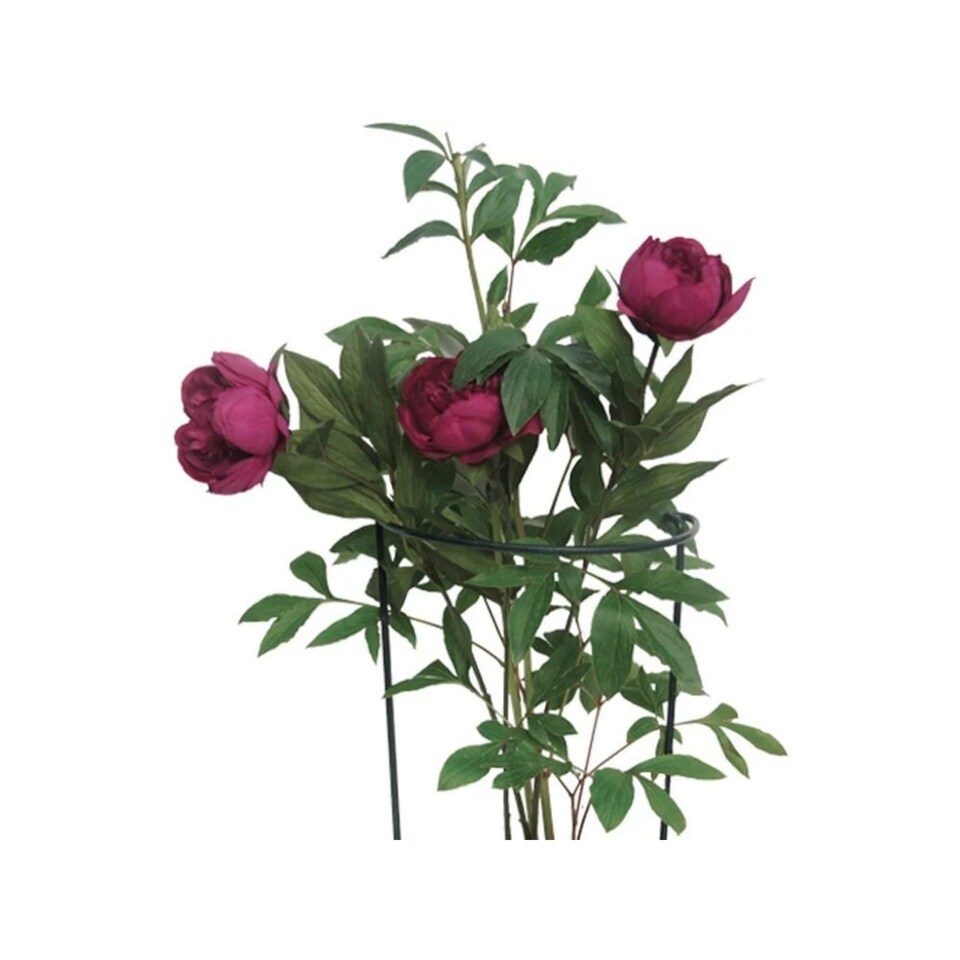 image 1 of Garden Pride Plant Support Bows - Extra Large Green Pack of 3