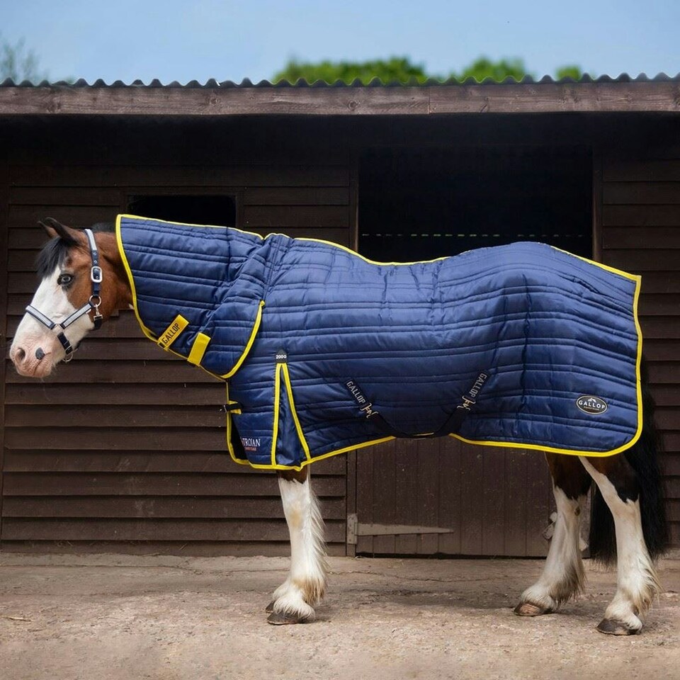 image 1 of Gallop Equestrian Trojan 200G Combo Stable Rug Blue | Size: 5ft 9
Colour: Navy