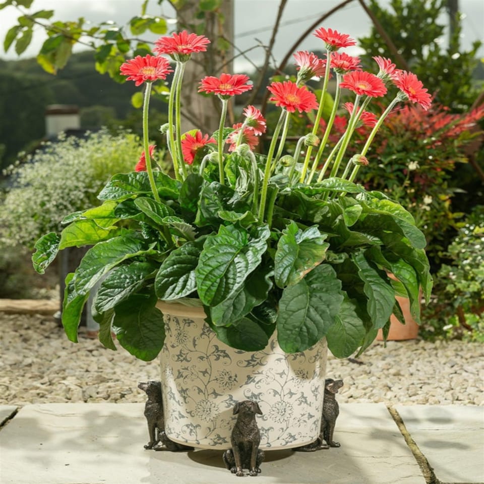 image 1 of Sitting Labrador Plant Pot Feet - Set of 3 Grey