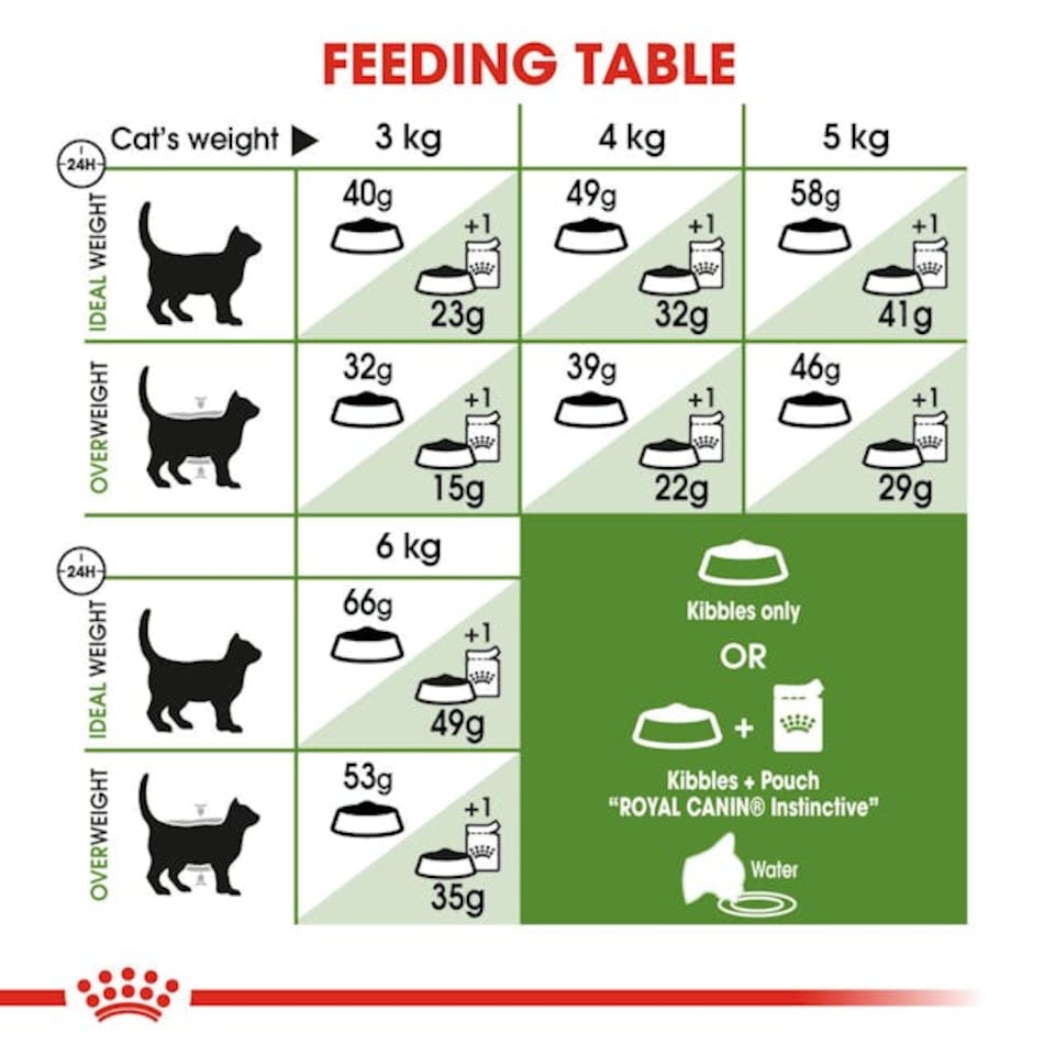 image 1 of Royal Canin Outdoor Adult Dry Cat Food High-Energy Formula - 4 kg | Multi | 4kg | 1