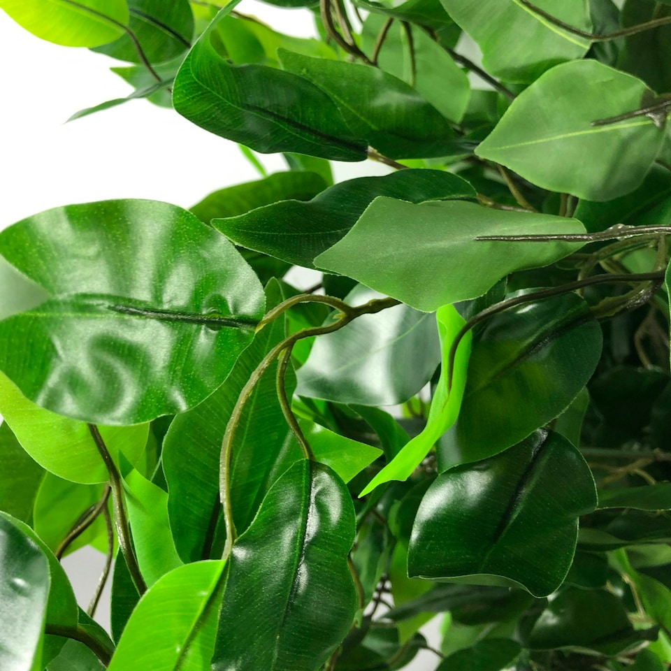 image 1 of 120cm Artificial Ficus Tree / Plant - Large Bushy Shape Silver Metal Planter
