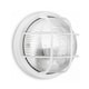 image 4 of CGC Ronnie White Cage Round Bulkhead Light | White | White | Diameter: 19 cm, Depth: 10.3 cm