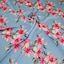 Sky Blue & Pink - Selected