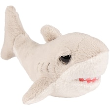 Small Flossy Shark