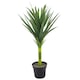 image 1 of 90cm (3ft) Large Artificial Green Yukka Plant Spiky Tree Plant | Green | 3ft