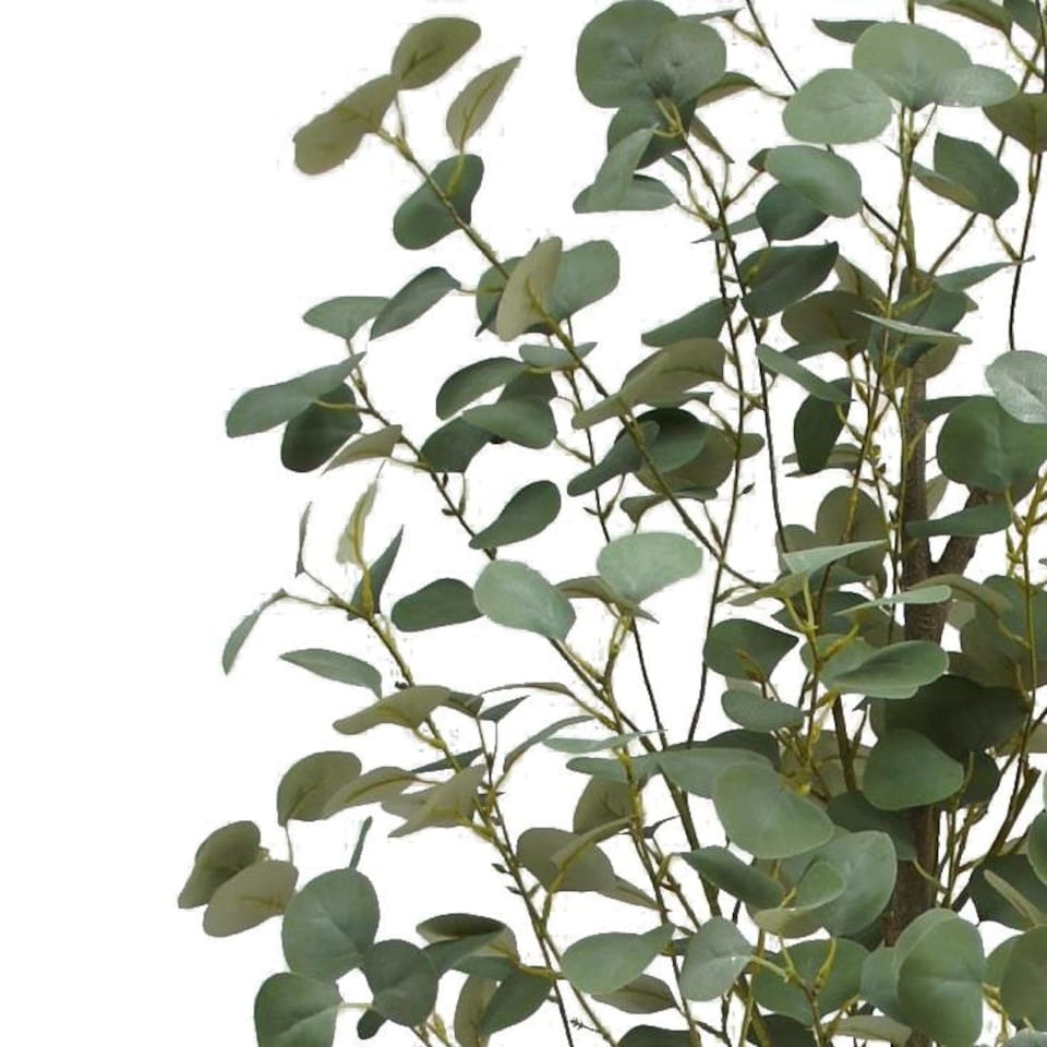 image 1 of 180cm Eucalyptus Realistic Artificial Tree Green