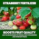 image 5 of Vitax Organic Strawberry Fertiliser 1L Liquid for Rich Flavor Bountiful Strawberries and Prolific Yields