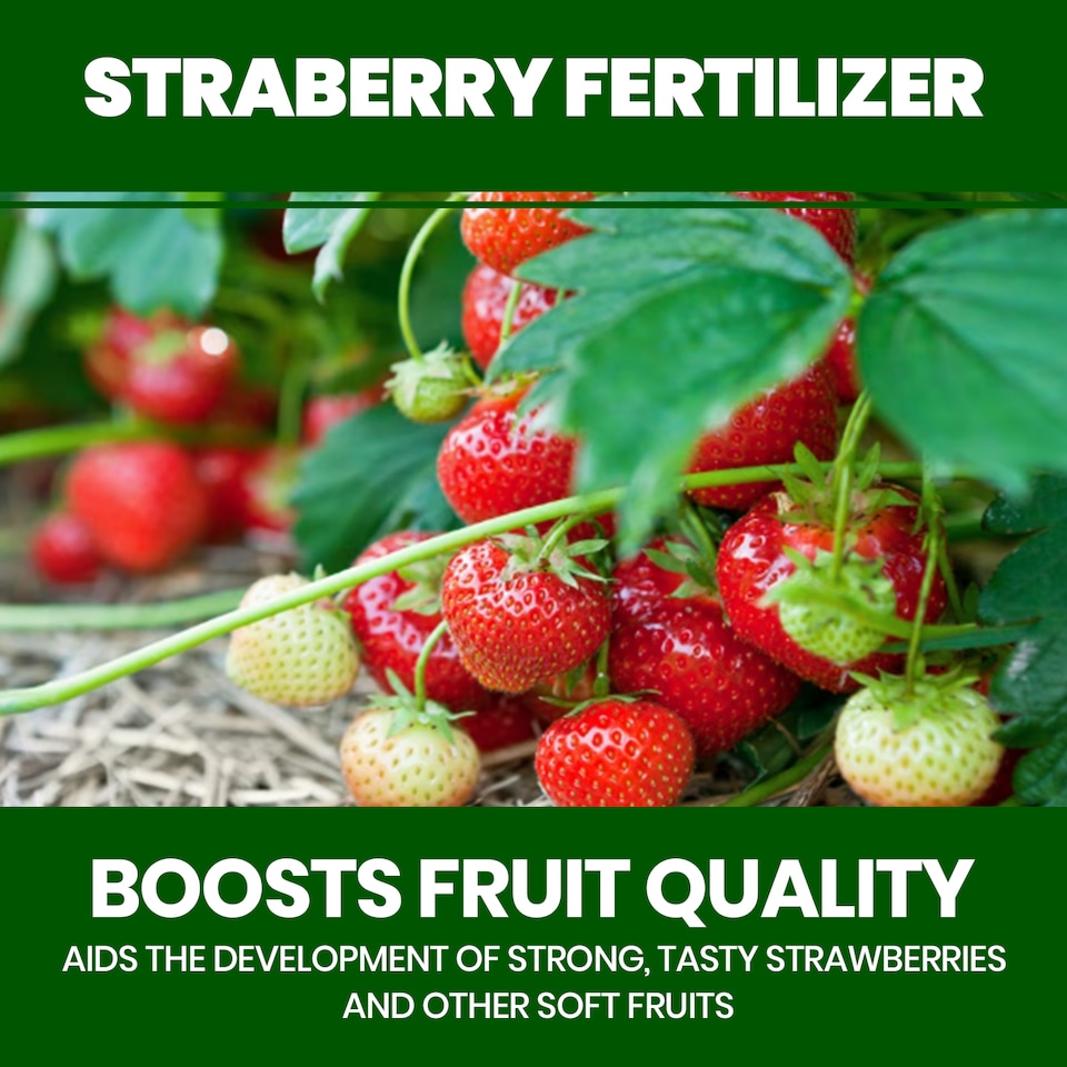 image 1 of Vitax Organic Strawberry Fertiliser 1L Liquid for Rich Flavor Bountiful Strawberries and Prolific Yields