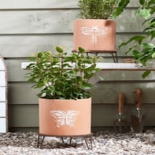 Erro Set of 2 Insect Planters Orange