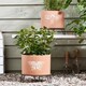 image 1 of Erro Set of 2 Insect Planters Orange