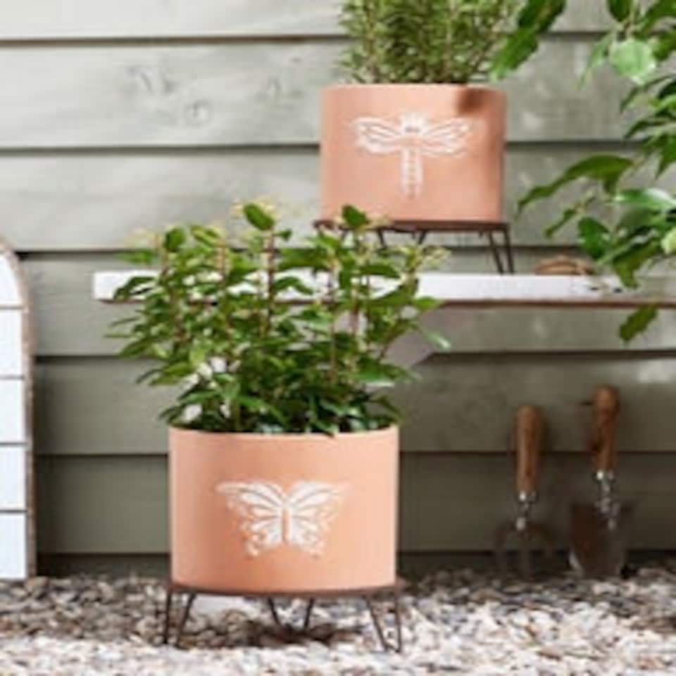image 1 of Erro Set of 2 Insect Planters Orange