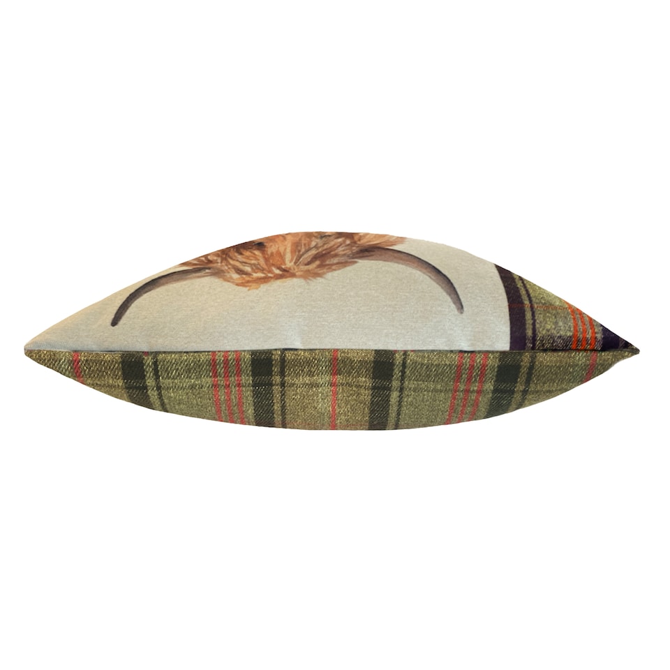 image 1 of Evans Lichfield Hunter Highland Cow Square Cushion, Multicolour, 43 x 43cm