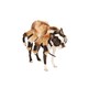 image 1 of Bristol Novelty Spider Dog Costume - Brown/Black/White - L Brown | L
