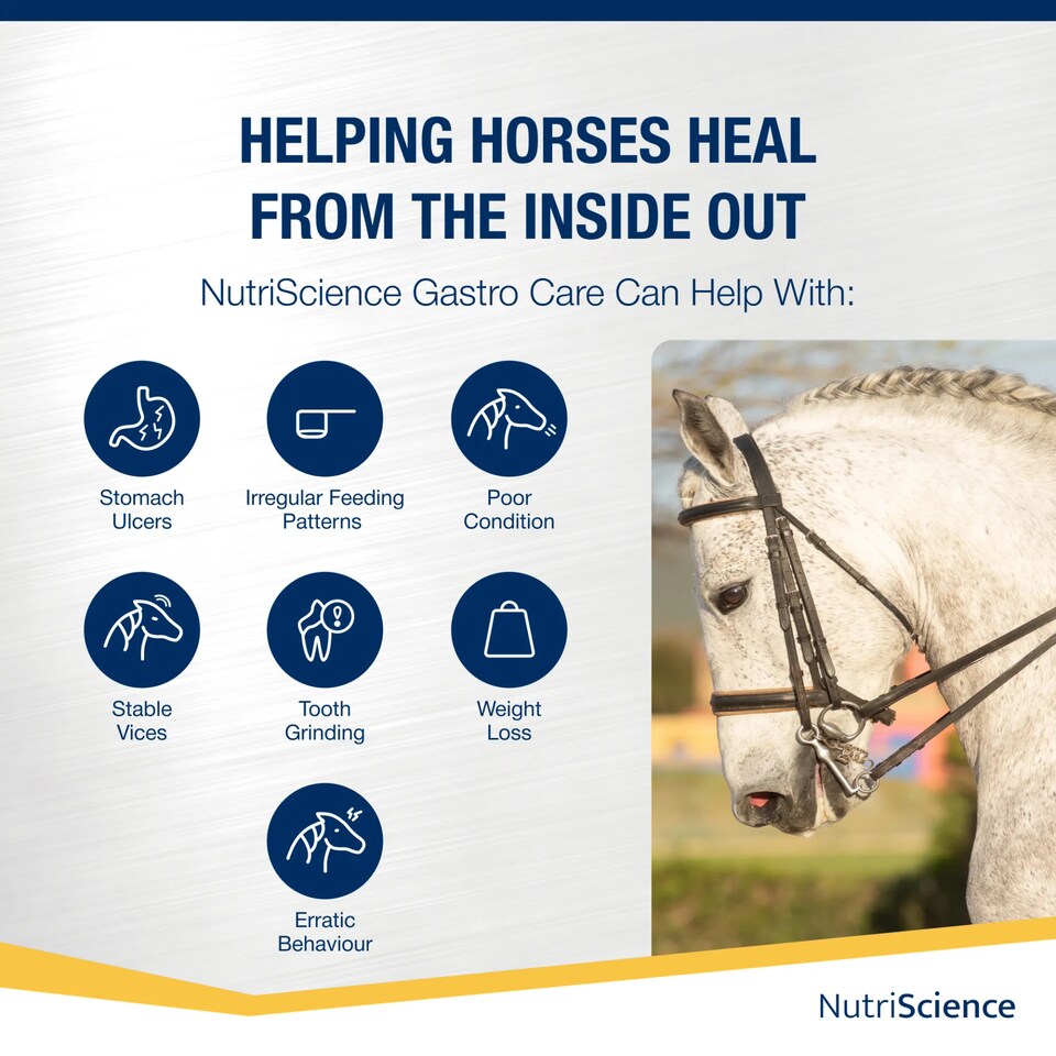 image 1 of NutriScience Horse Gastric Supplement Gut Ulcer Digestive Support Powder 1.8kg