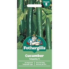 Fothergills Premium Cucumber Seeds - Telepathy F1