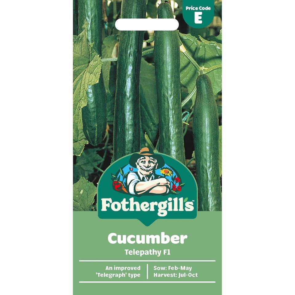 image 1 of Fothergills Premium Cucumber Seeds - Telepathy F1