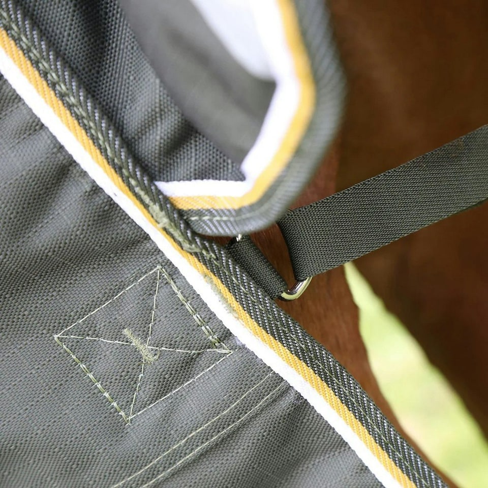 image 1 of Highlander Plus Standard-Neck 50g Horse Turnout Rug - Green - 7´ 3"
