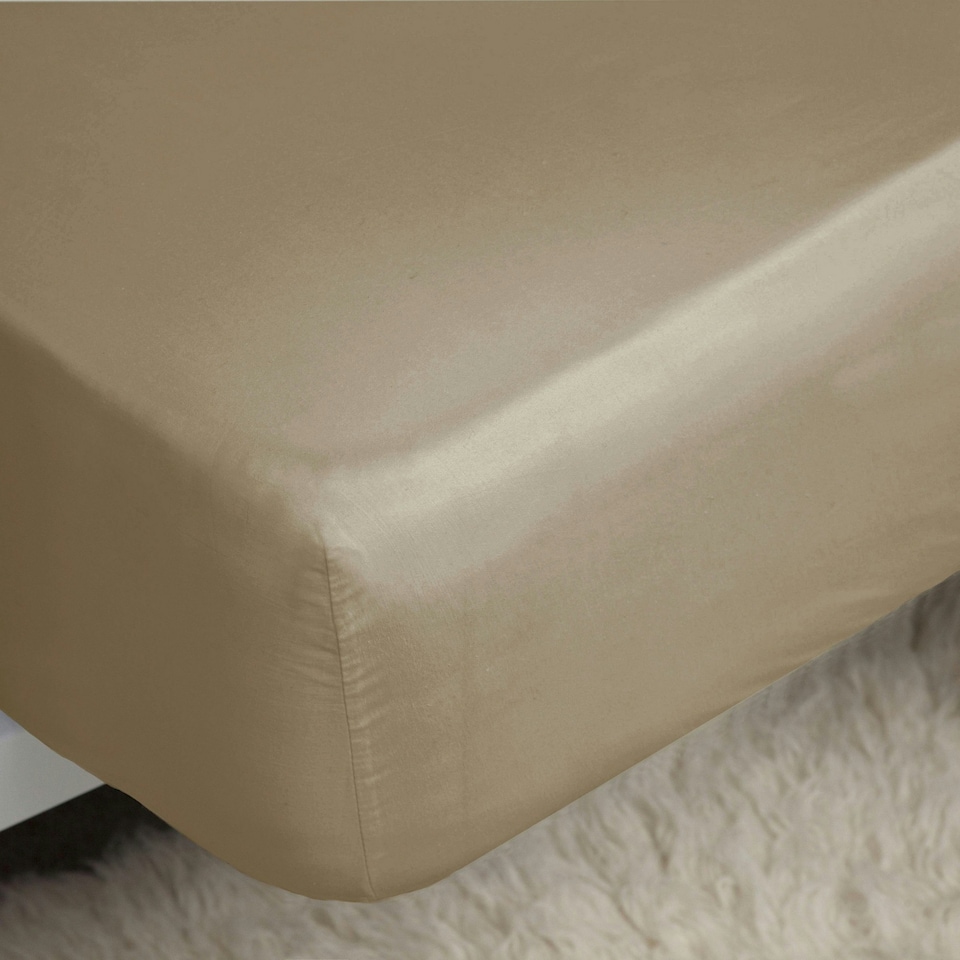 Belledorm Easycare Percale Fitted Sheet - Walnut Whip - 6ft 6in