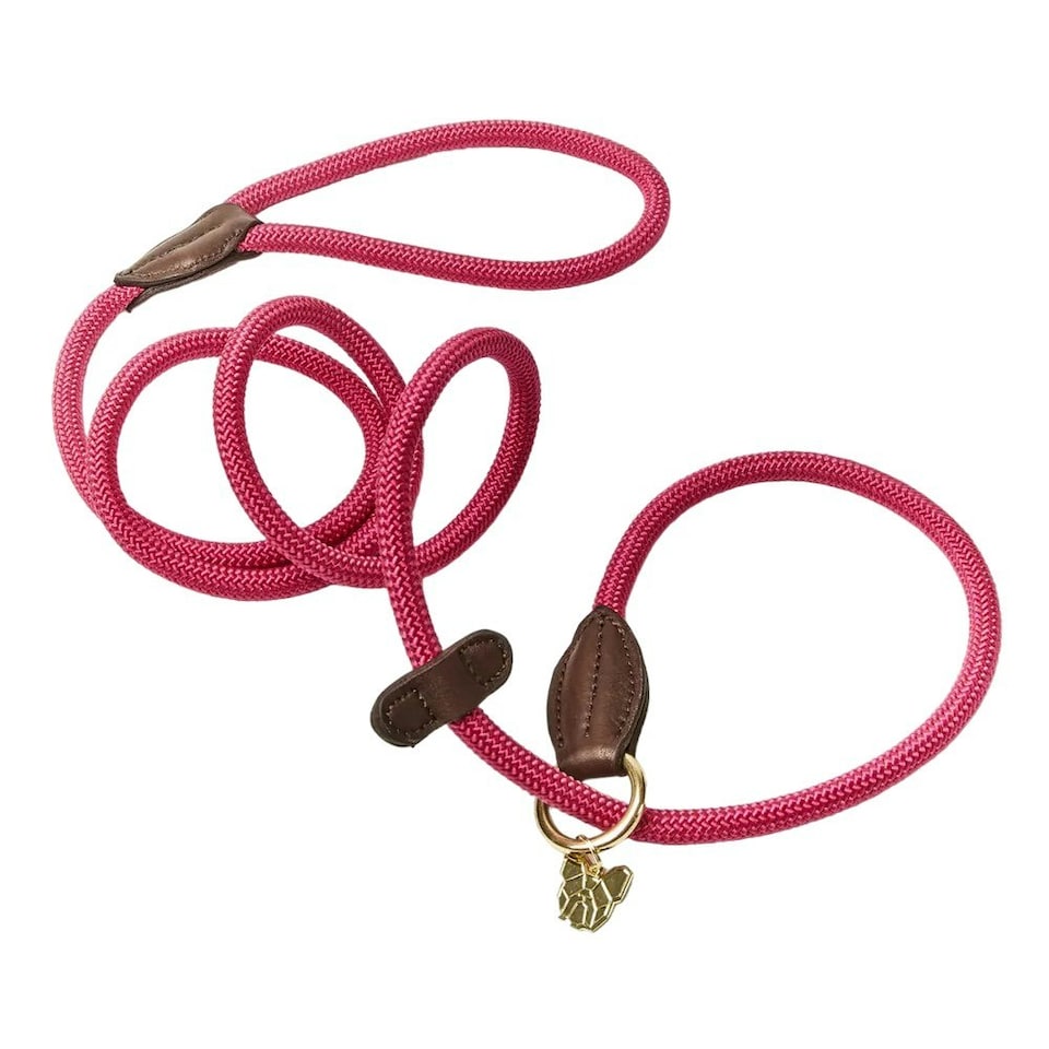 Digby & Fox Leather Dog Slip Lead - Pink - One Size