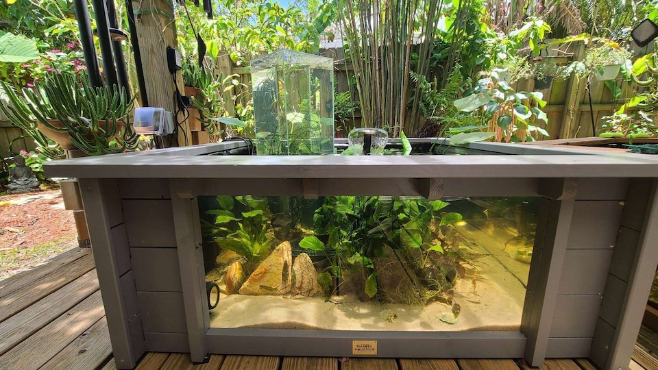 image 1 of Raised square pond with large windows Lotus Clear View Garden Aquarium in Grey
