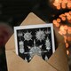 image 3 of Ernst Haeckel Art Card Acanthophracta Black White Marine Life