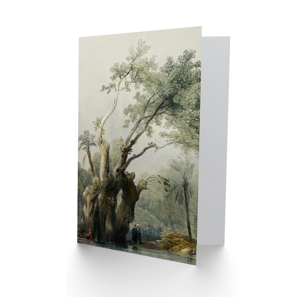 image 1 of David Roberts Art Card The Holy Tree of Metereah