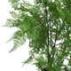 image 7 of 150cm Artificial Natural Extra Large Fern Foliage Plant with Gold Metal Planter