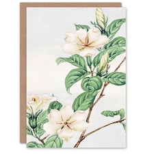 Megata Morikaga Art Card Cape Jasmine Vintage Japanese