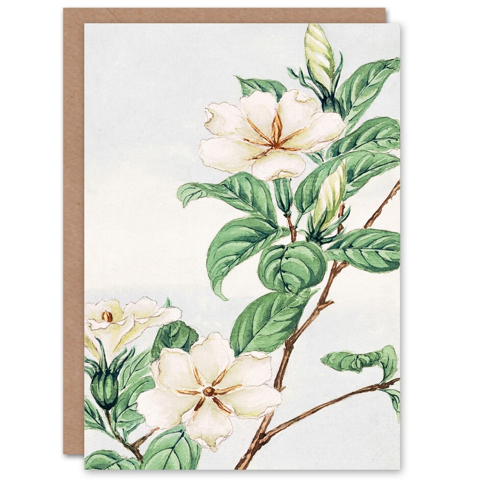 image 1 of Megata Morikaga Art Card Cape Jasmine Vintage Japanese