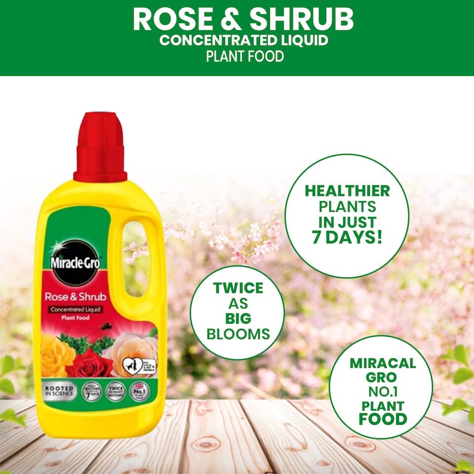 image 1 of Miracle-Gro Rose and Shrub Liquid Plant Food 800ml Fast Acting Feed for Strong Growth Flowering Green Leaves 2 Week Boost