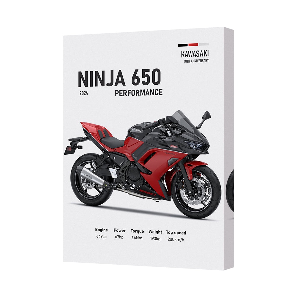 Kawasaki Ninja 650 Performance Canvas Print Motorcycle Wall Art Handmade in UK