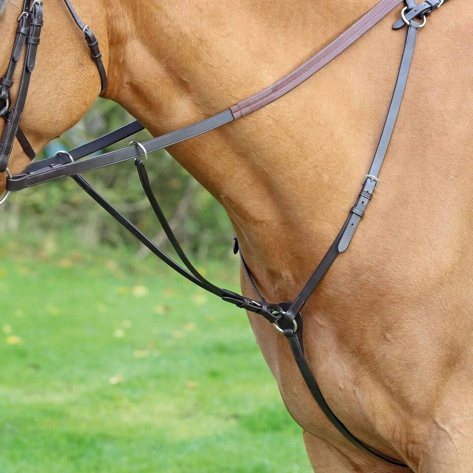 Aviemore Hunt Weight Leather Horse Breastplate - Havana - Cob