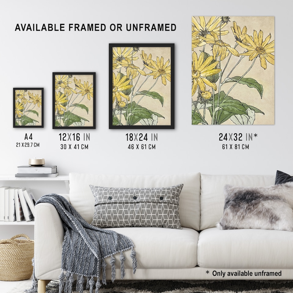 image 1 of Sunflowers Watercolour Vintage Framed Wall Art Print Overbeck 12x16"