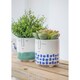 image 6 of KitchenCraft Planter Blue Dolomite Happy Face Blue