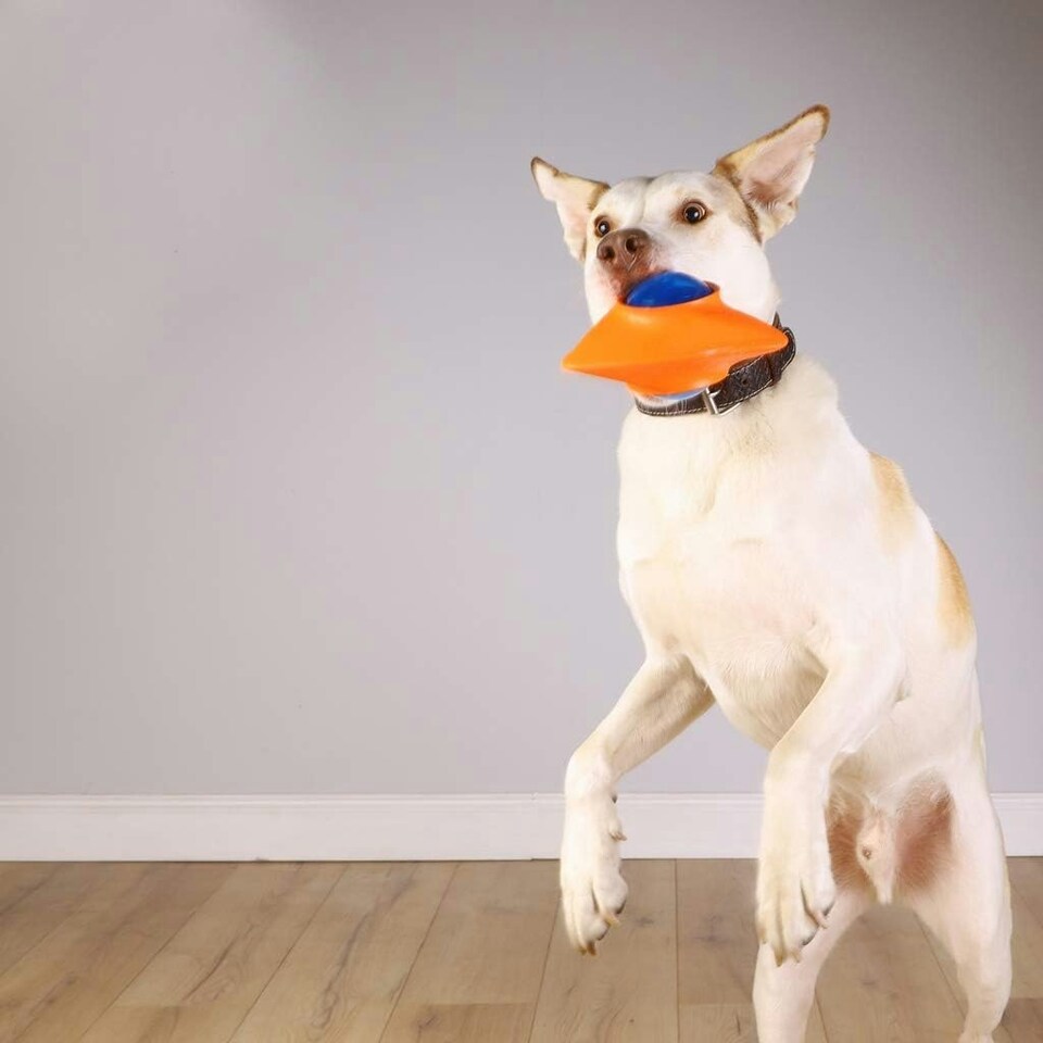 image 1 of Pet Brands Astro Dog Ufo Eva Tpr Led Spaceship Toy