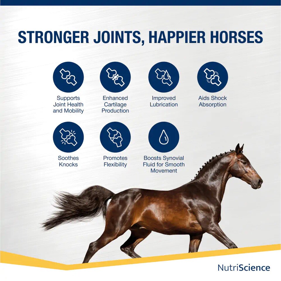 image 1 of NutriScience Arthri Aid Equine Liquid
