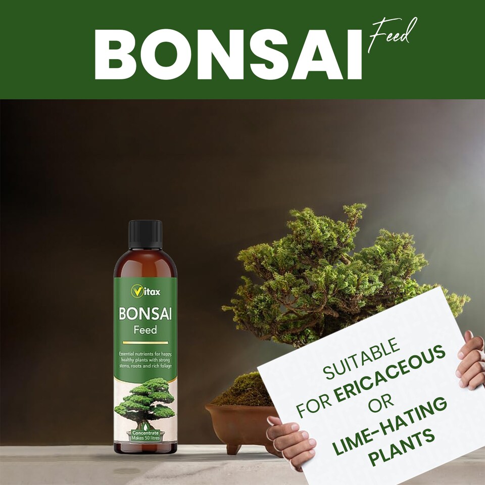 image 1 of Vitax Bonsai Liquid Feed 250ml Concentrated Seaweed-Enriched Nutrient Plant Feed