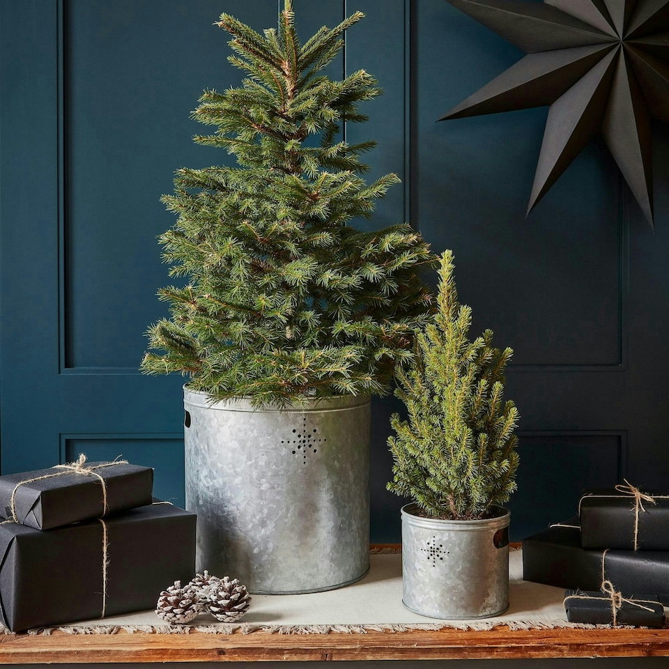image 1 of Indoor Christmas Tree Bucket with Star in Galvanised Steel