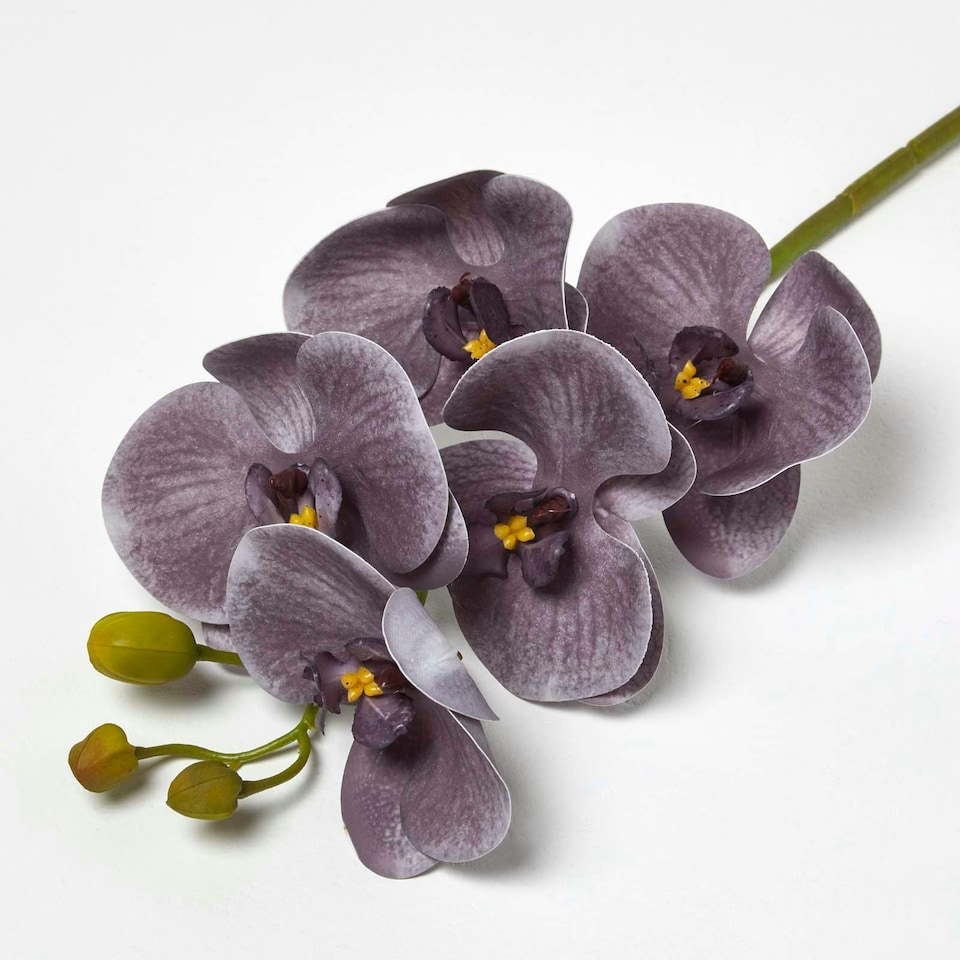 image 1 of Homescapes Artificial Stem of Grey Orchid Flower, 68 cm
