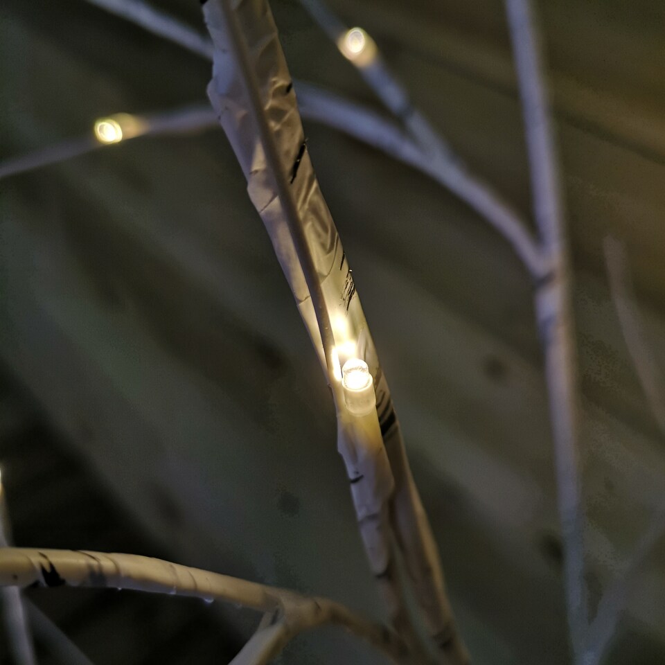 image 1 of 1.5m (5ft) Indoor Outdoor Christmas Lit Birch Tree with 64 Warm White LEDs