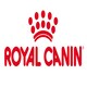 image 2 of ROYAL CANIN® Kitten Wet Food N/A | Size: 12 x 85g
Texture: Gravy
