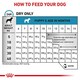 image 2 of Royal Canin Mini Adult Over 8 Years Dry Dog Food for Small Breeds - 8 kg | Multi | 8kg | Salmon, Turkey | 1