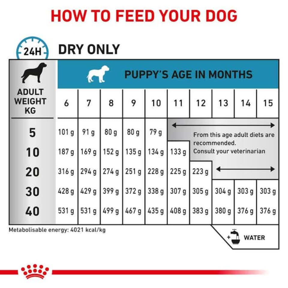 image 1 of Royal Canin Mini Adult Over 8 Years Dry Dog Food for Small Breeds - 8 kg | Multi | 8kg | Salmon, Turkey | 1