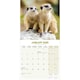 image 3 of Meerkats 2026 Calendar | Square Wall Calendar | Animal Gift | Plastic Free Packaging | by Avonside Publishing