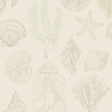 Summer Seashells Wallpaper in Neutrals | Cream | Neutrals
