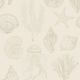 image 1 of Summer Seashells Wallpaper in Neutrals | Cream | Neutrals