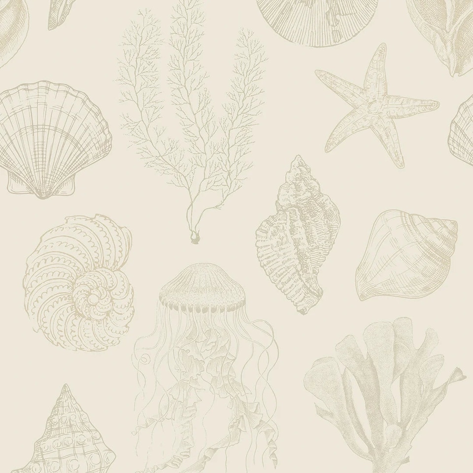 image 1 of Summer Seashells Wallpaper in Neutrals | Cream | Neutrals