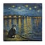 Starry Night Tuxedo Cat